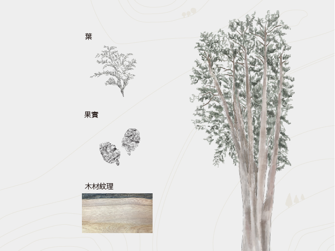 生态板是什么?家装使用时应关注哪些指标 生态板是什么?家装使用时应关注哪些指标